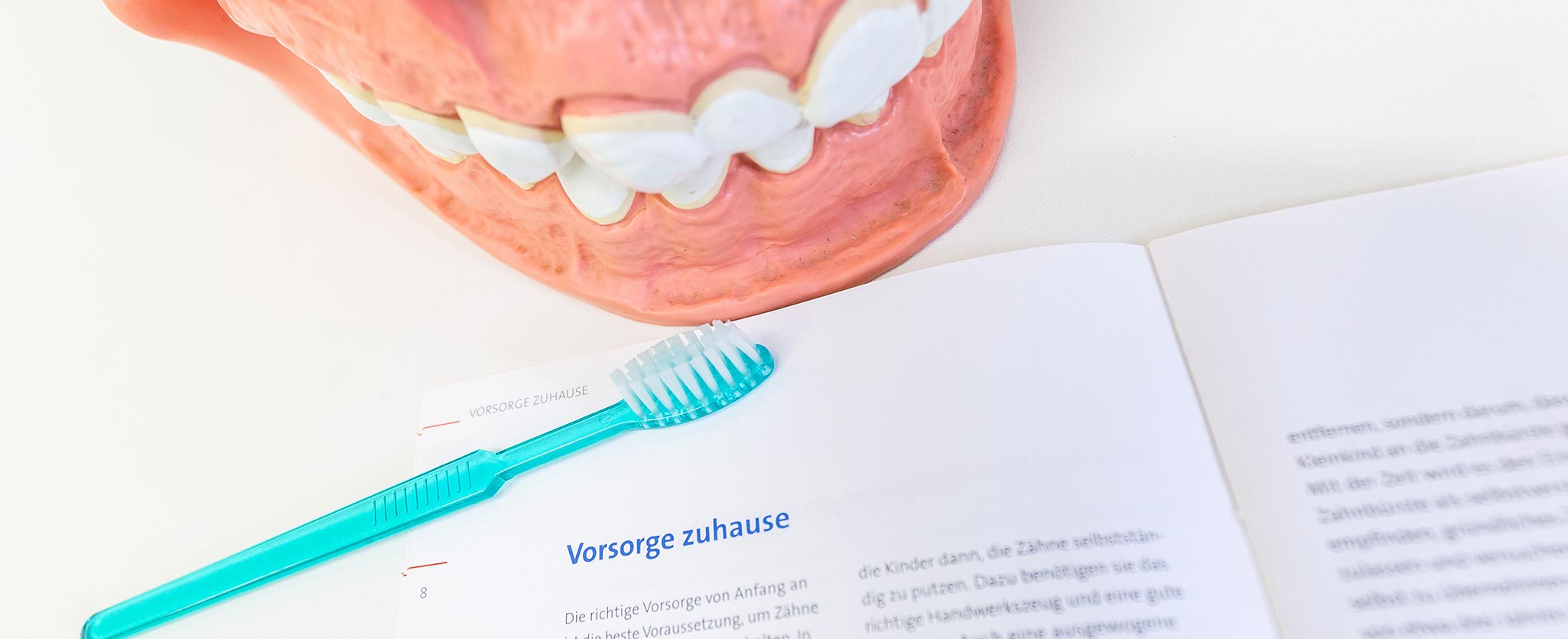 Foto von einem künstlichen Gebiss, einer Zahnbürste und einem Flyer zum Thema Vorbeugen von Zahnarztpraxis Totolici in Konstanz