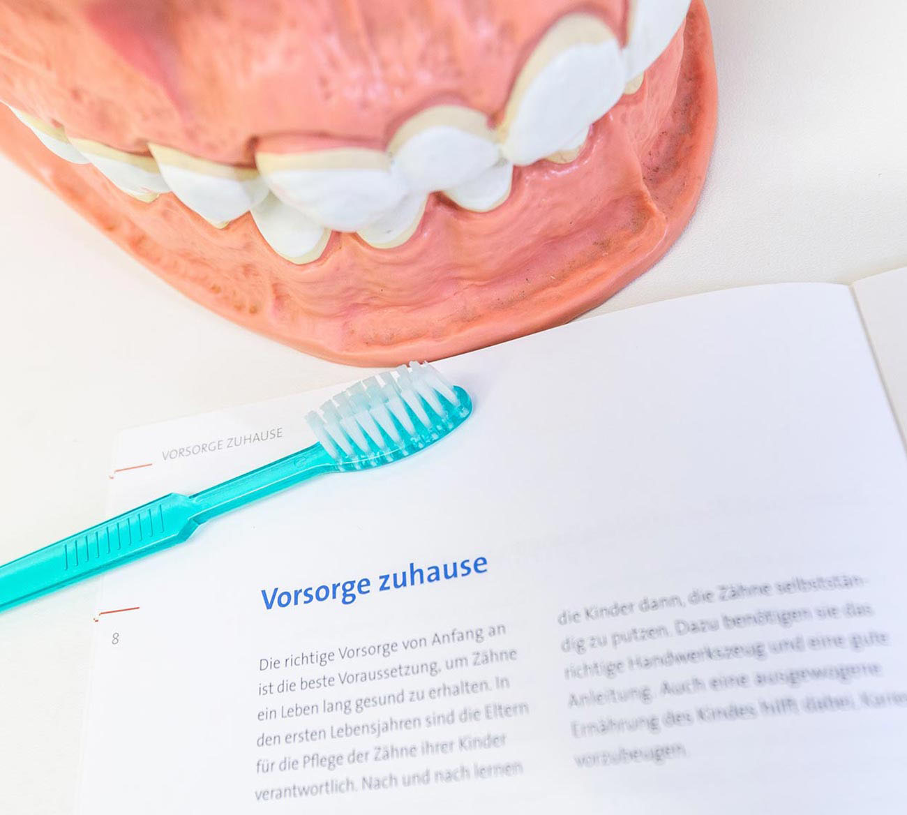 Foto von einem Gebiss, Zahnbürste und Flyer zum Thema Vorbeugen